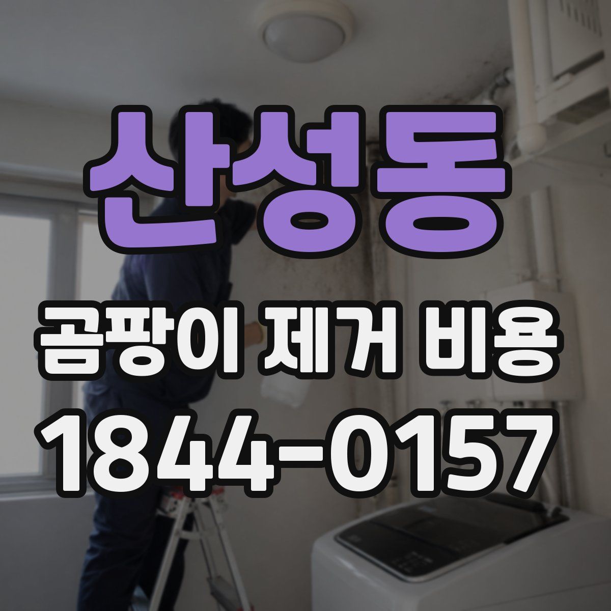 산성동 곰팡이 제거 비용