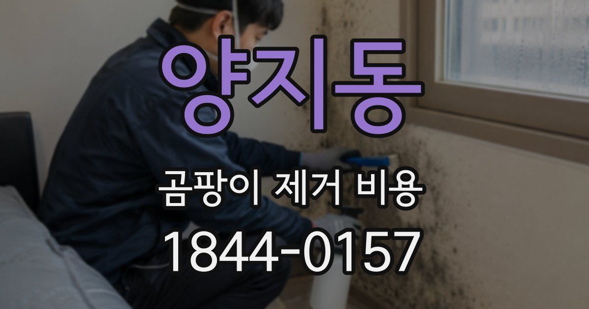 양지동 곰팡이 제거 비용