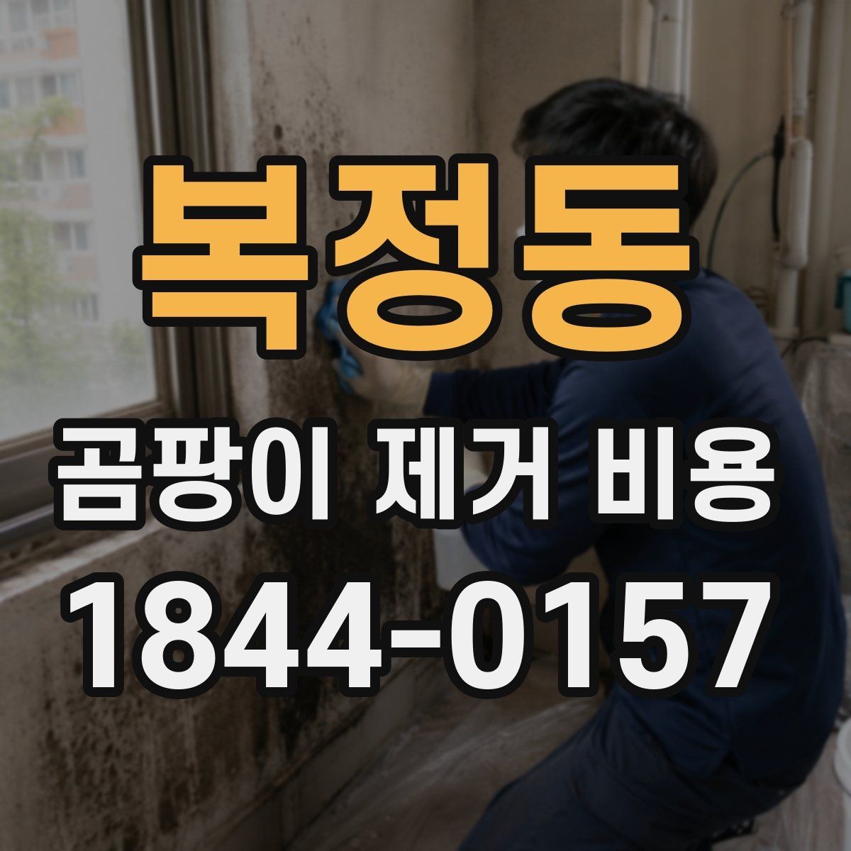 복정동 곰팡이 제거 비용 곰팡이 재발 원인을 함께 잡아야 하는 이유
