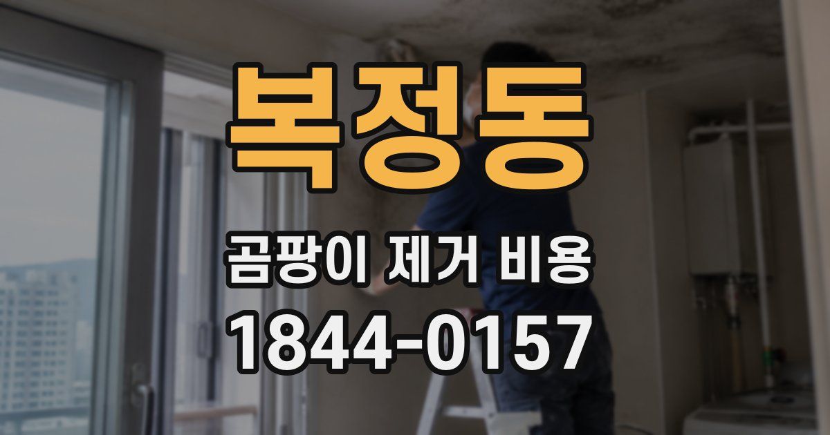 복정동 곰팡이 제거 비용