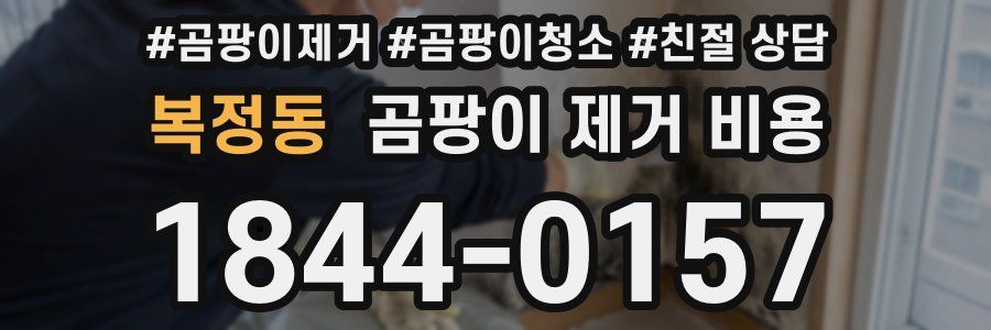 복정동 곰팡이 제거 비용