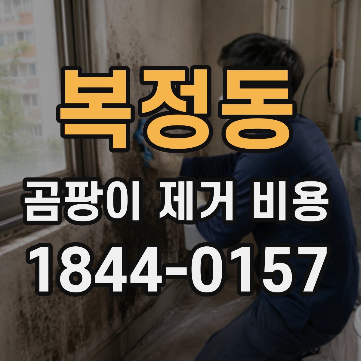 복정동 곰팡이 제거 비용