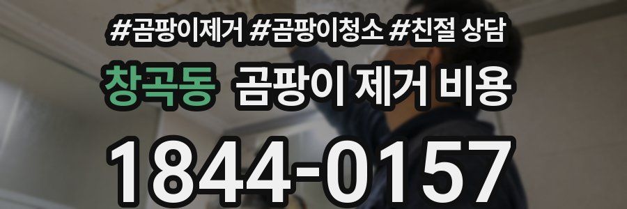 창곡동 곰팡이 제거 비용
