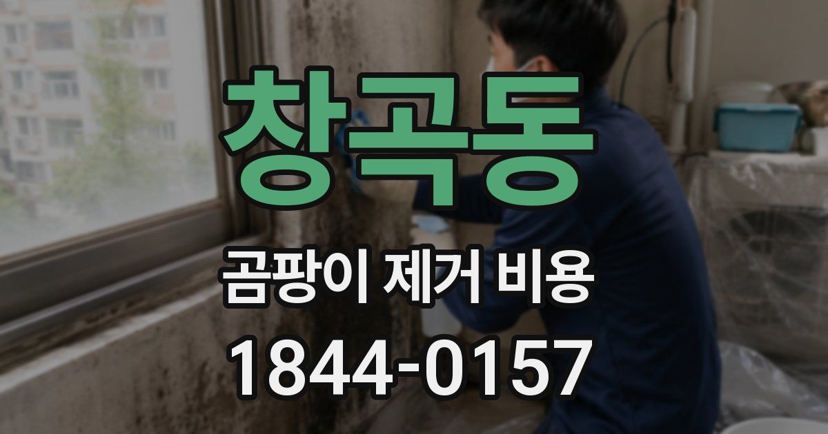창곡동 곰팡이 제거 비용
