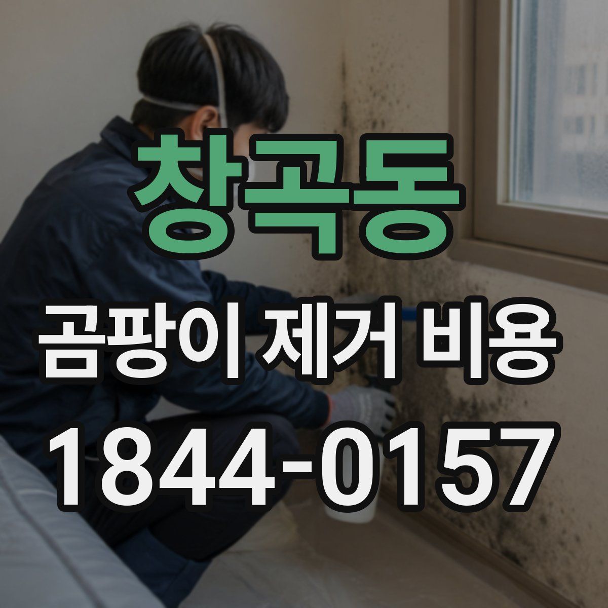 창곡동 곰팡이 제거 비용