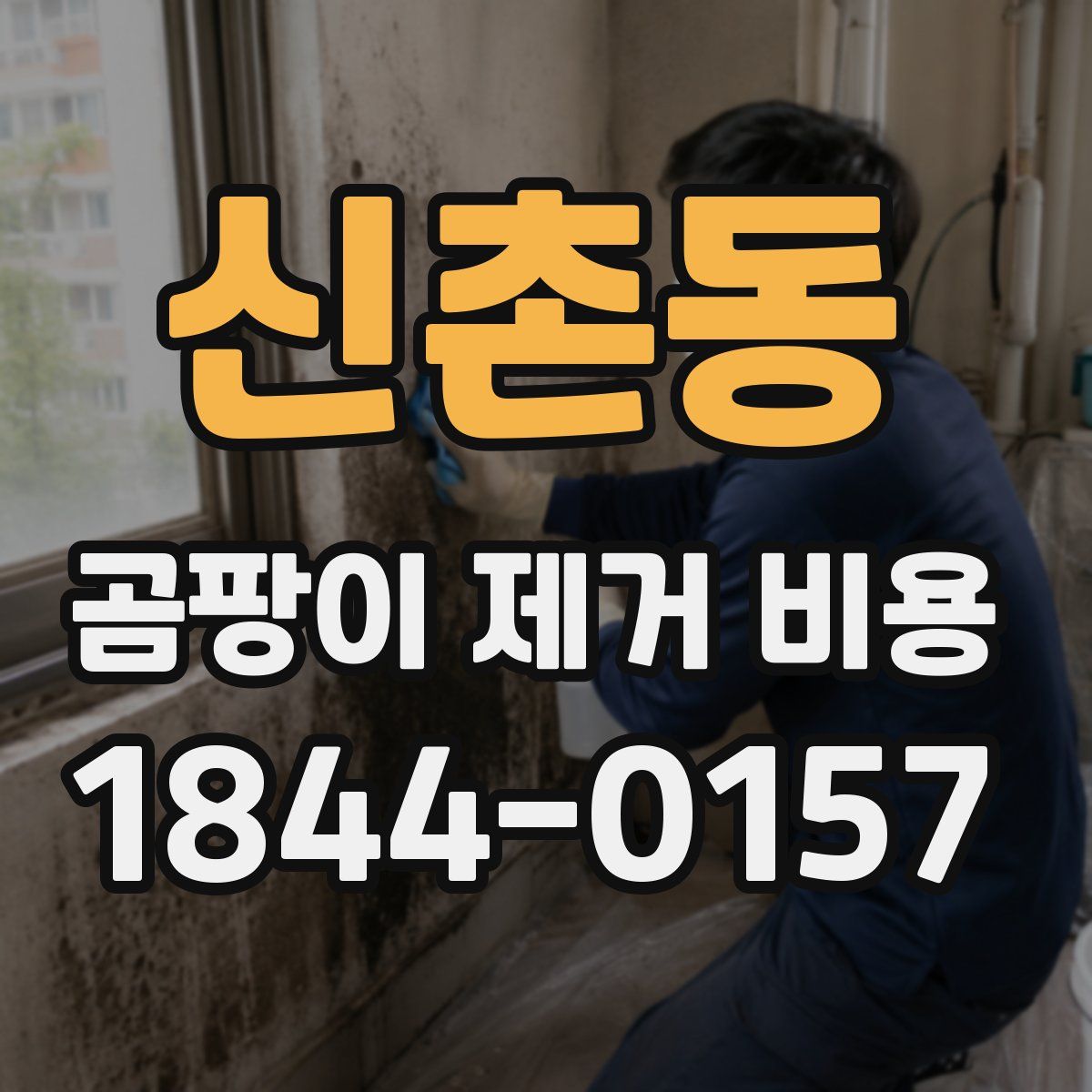 신촌동 곰팡이 제거 비용