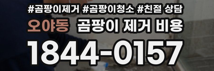 오야동 곰팡이 제거 비용