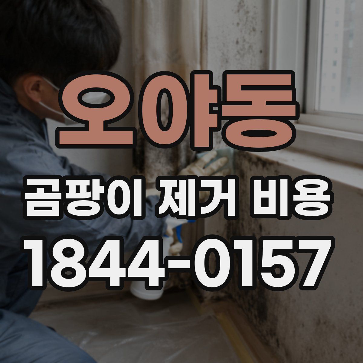 오야동 곰팡이 제거 비용