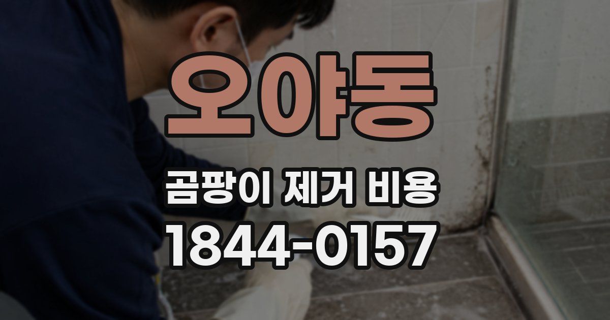 오야동 곰팡이 제거 비용