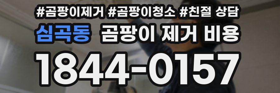 심곡동 곰팡이 제거 비용