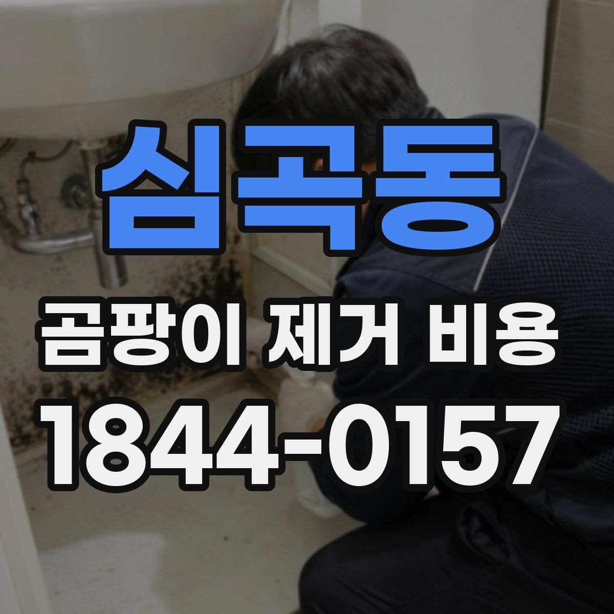 심곡동 곰팡이 제거 비용