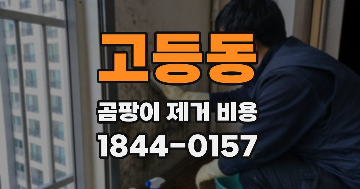 고등동 곰팡이 제거 비용