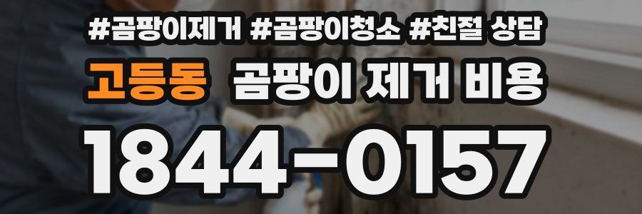 고등동 곰팡이 제거 비용