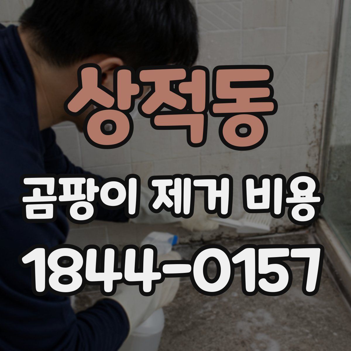 상적동 곰팡이 제거 비용