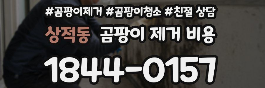 상적동 곰팡이 제거 비용