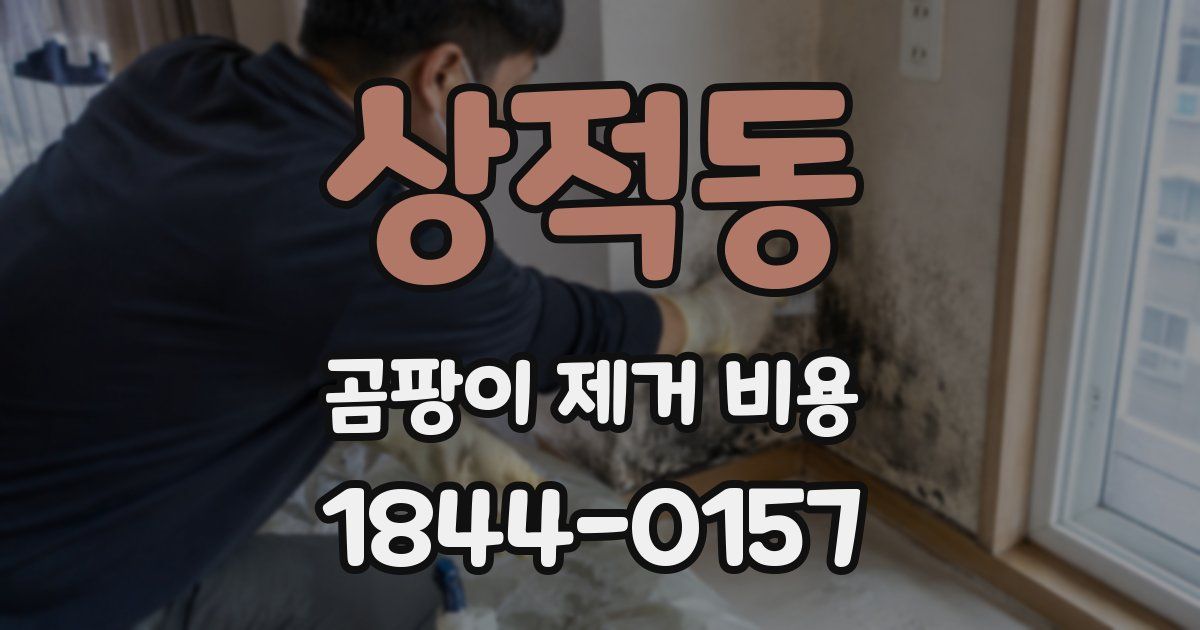 상적동 곰팡이 제거 비용