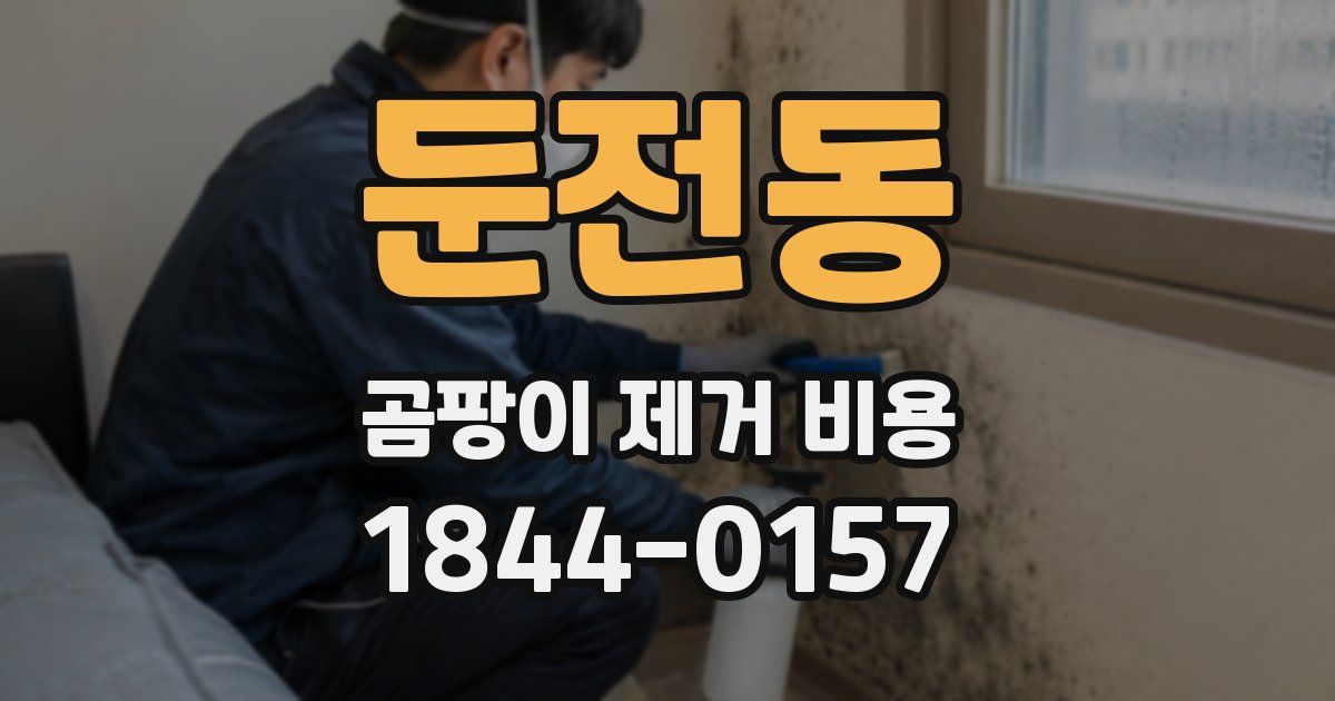 둔전동 곰팡이 제거 비용