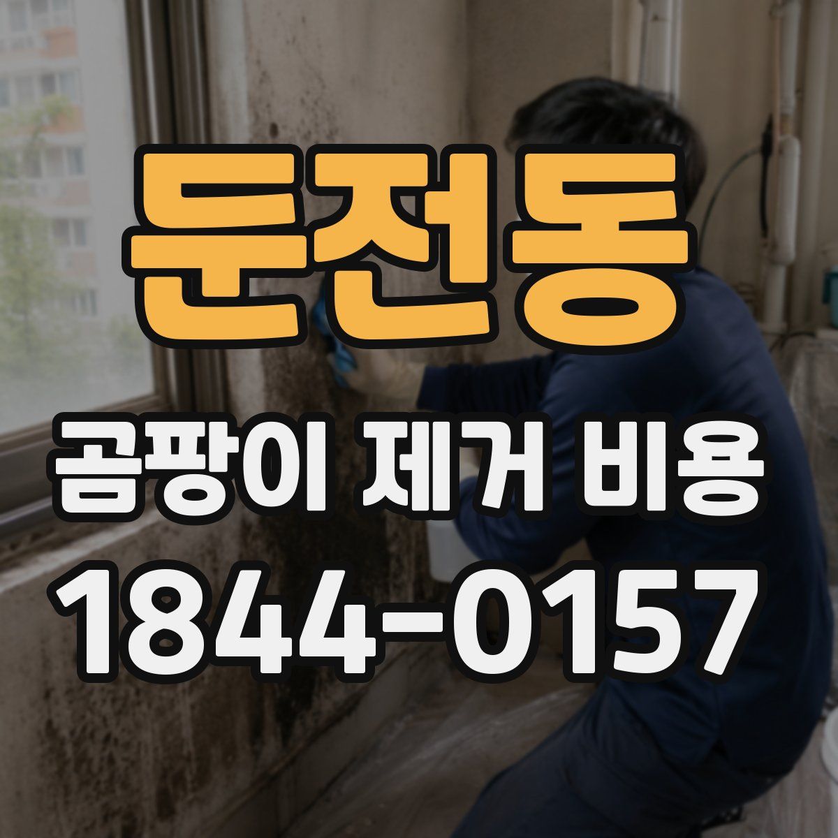 둔전동 곰팡이 제거 비용