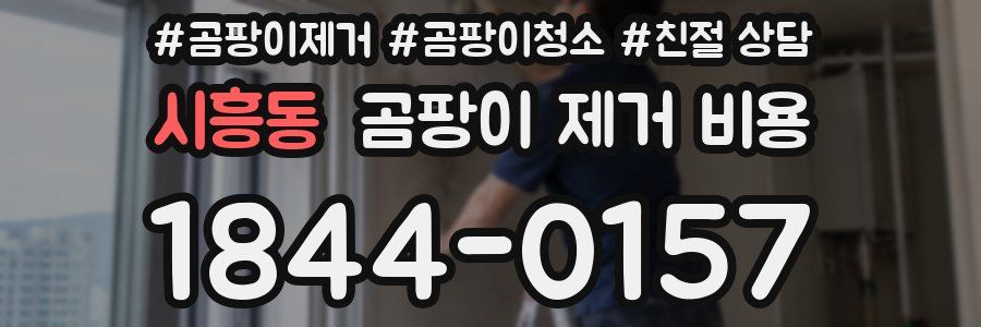 시흥동 곰팡이 제거 비용