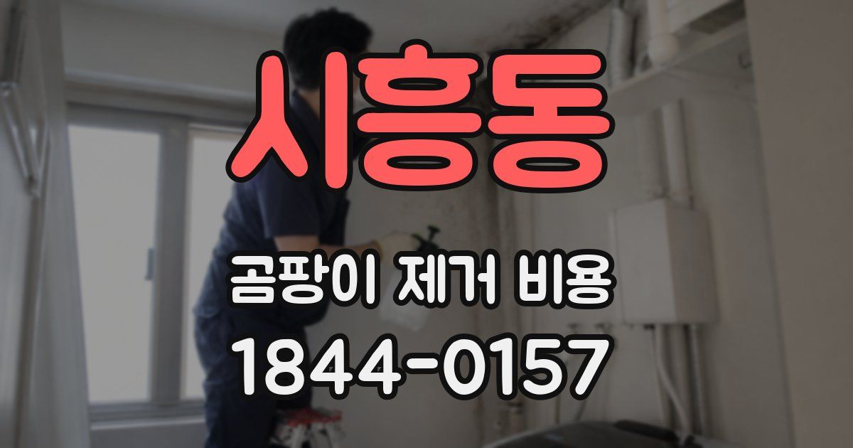 시흥동 곰팡이 제거 비용