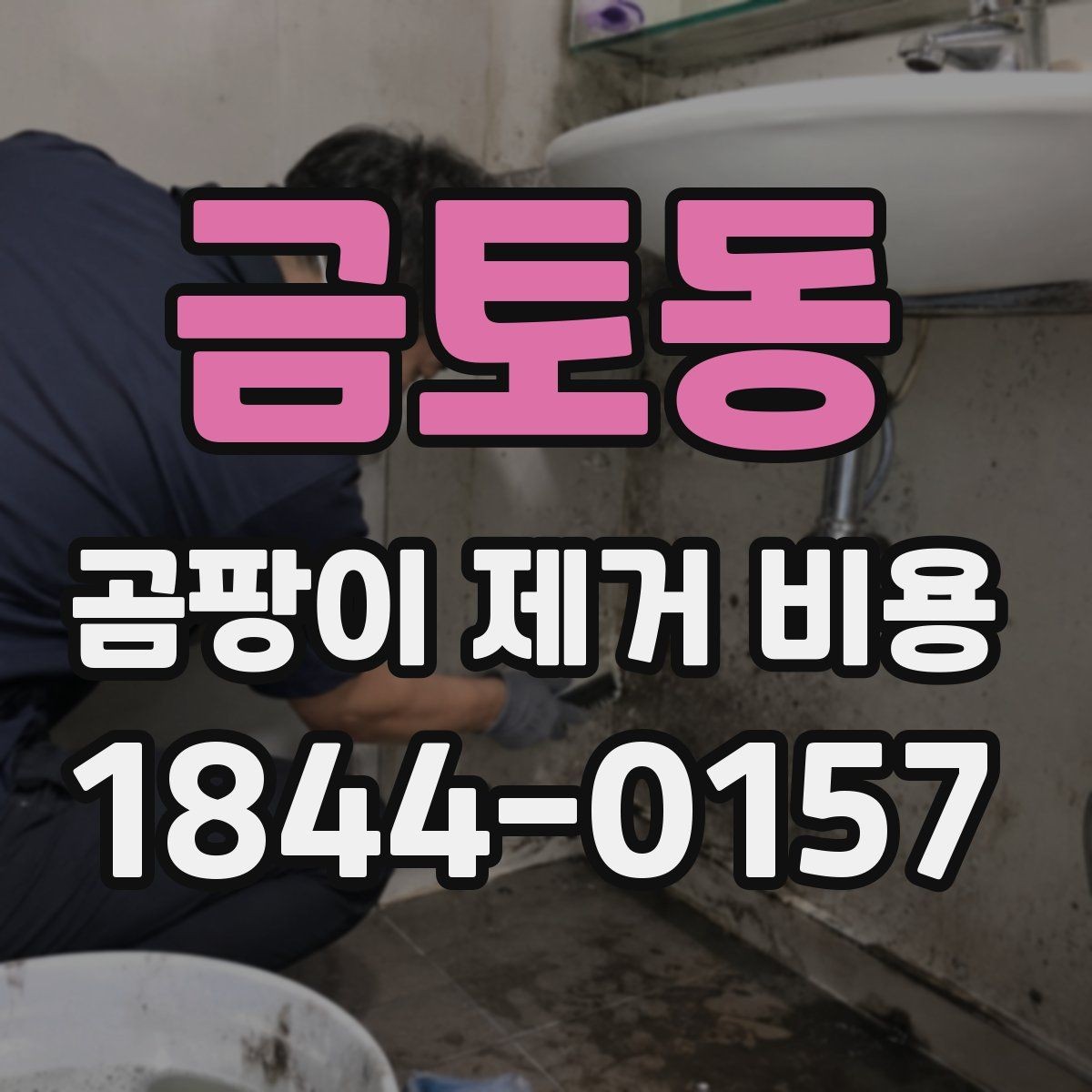 금토동 곰팡이 제거 비용 벽지와 천장 작업은 어떻게 다를까