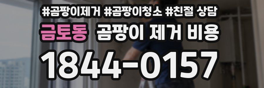 금토동 곰팡이 제거 비용