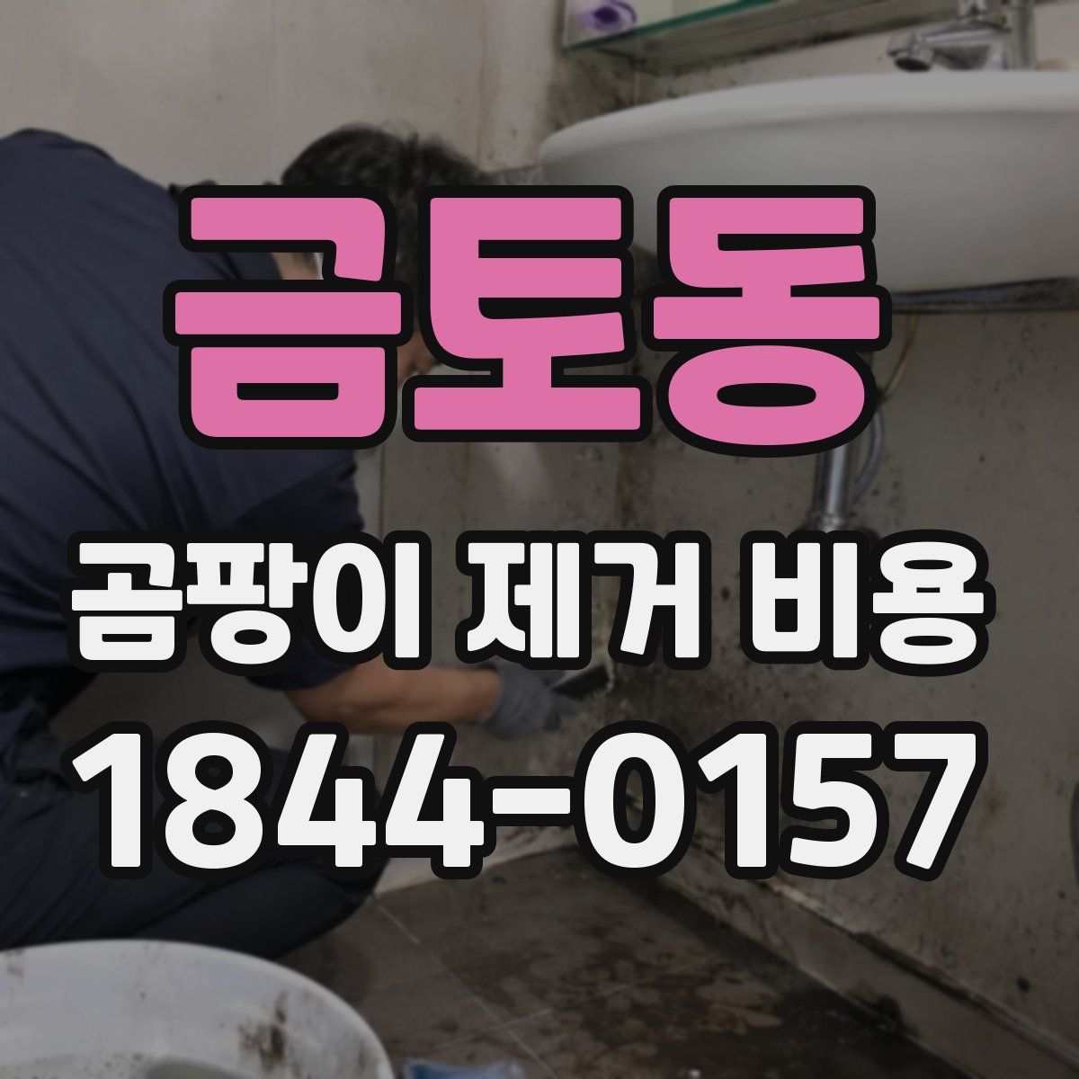 금토동 곰팡이 제거 비용