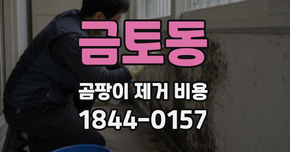 금토동 곰팡이 제거 비용