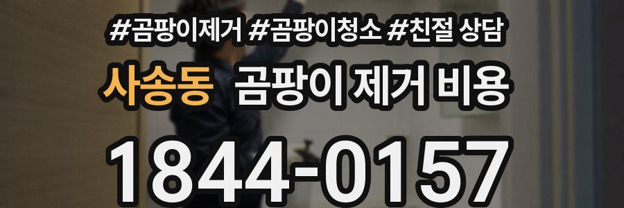 사송동 곰팡이 제거 비용