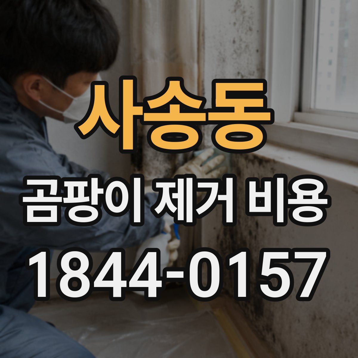 사송동 곰팡이 제거 비용