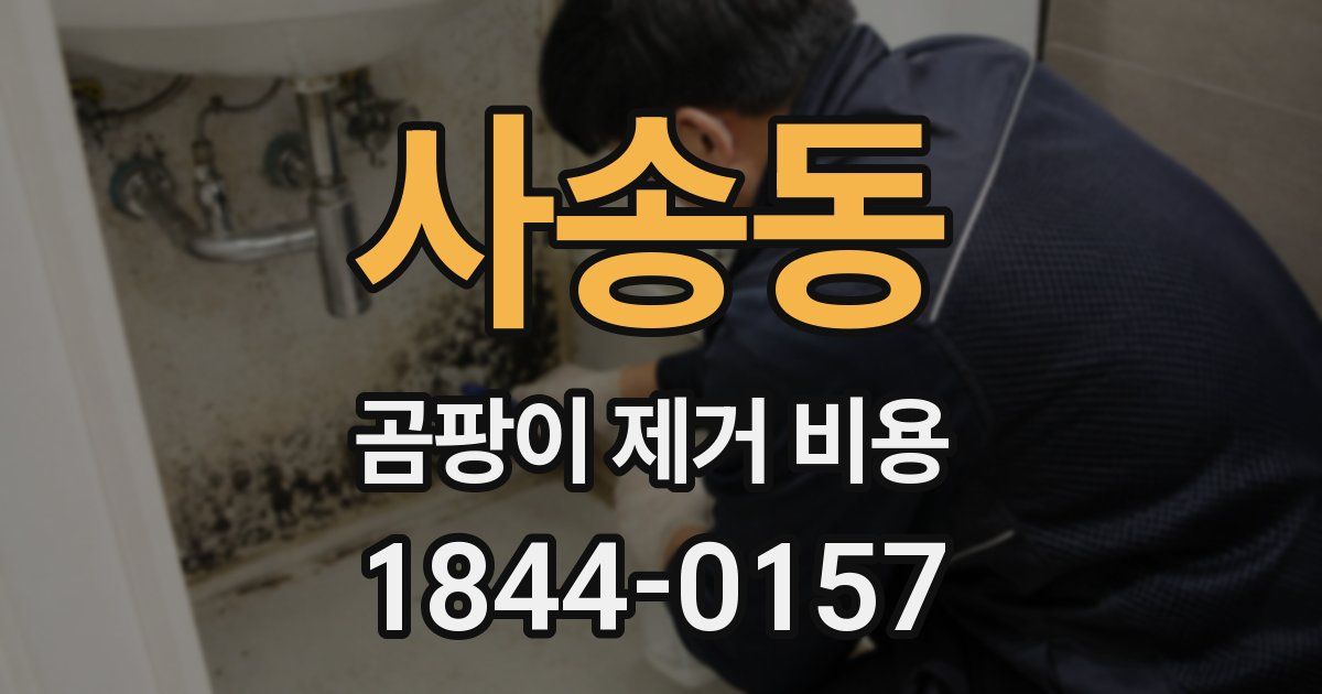 사송동 곰팡이 제거 비용