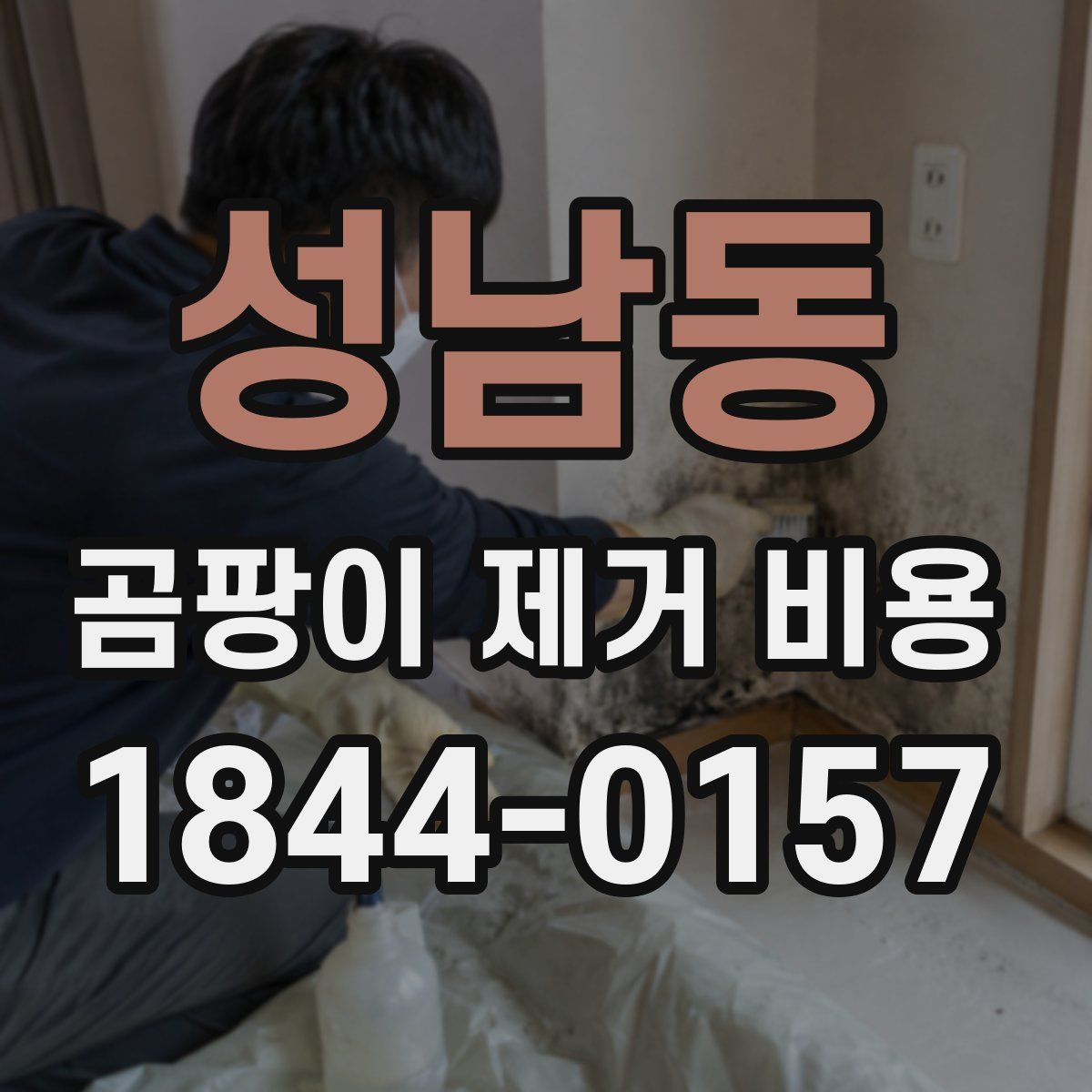성남동 곰팡이 제거 비용