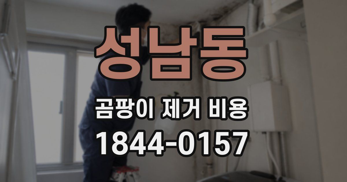 성남동 곰팡이 제거 비용