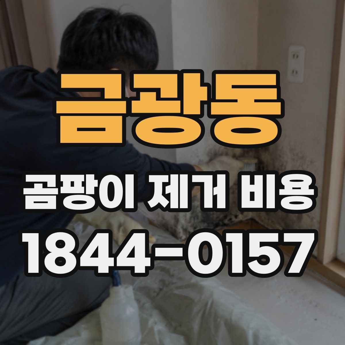 금광동 곰팡이 제거 비용