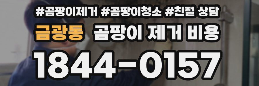금광동 곰팡이 제거 비용