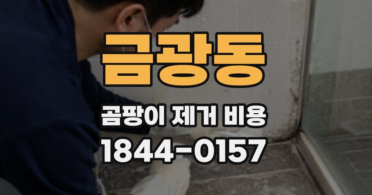 금광동 곰팡이 제거 비용