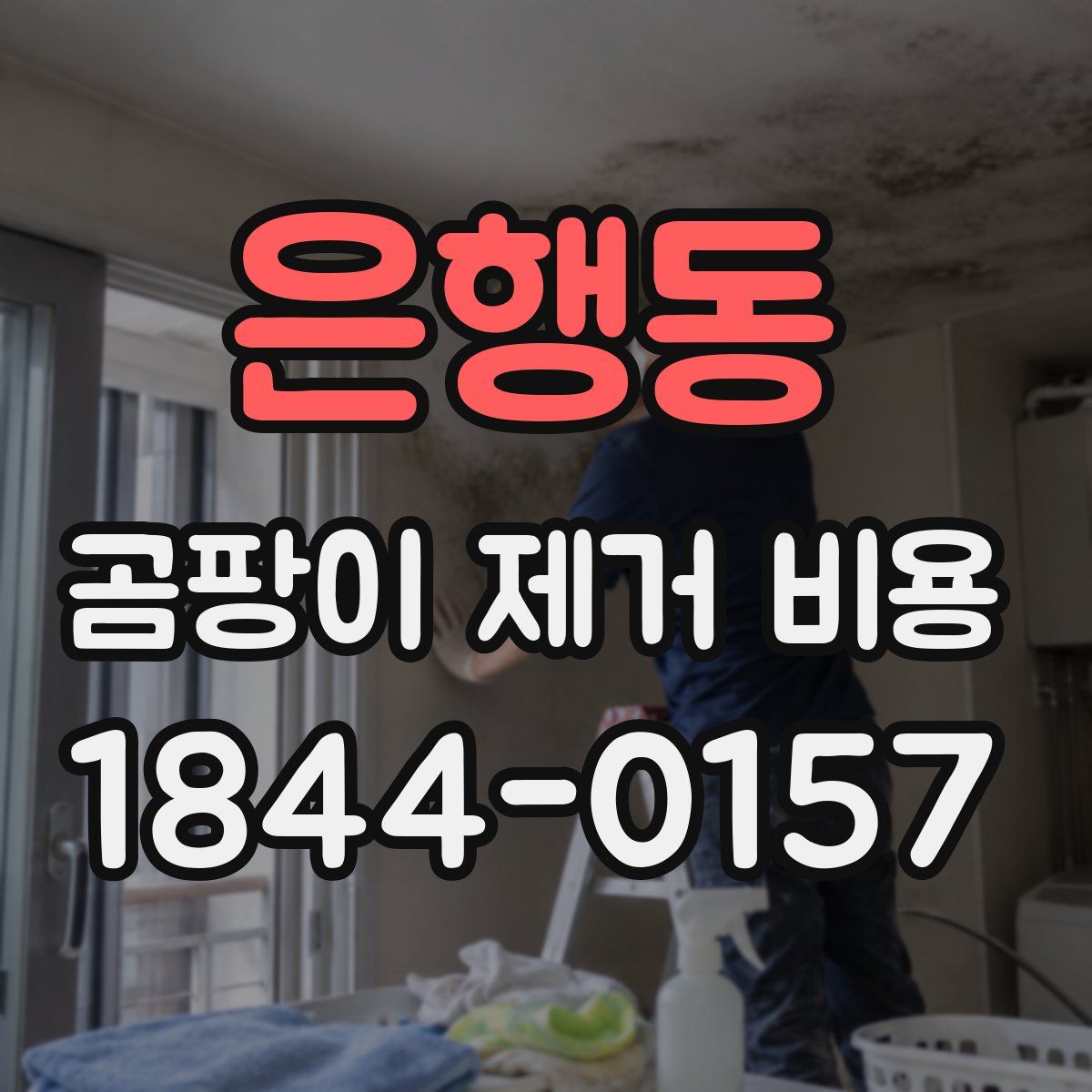 은행동 곰팡이 제거 비용