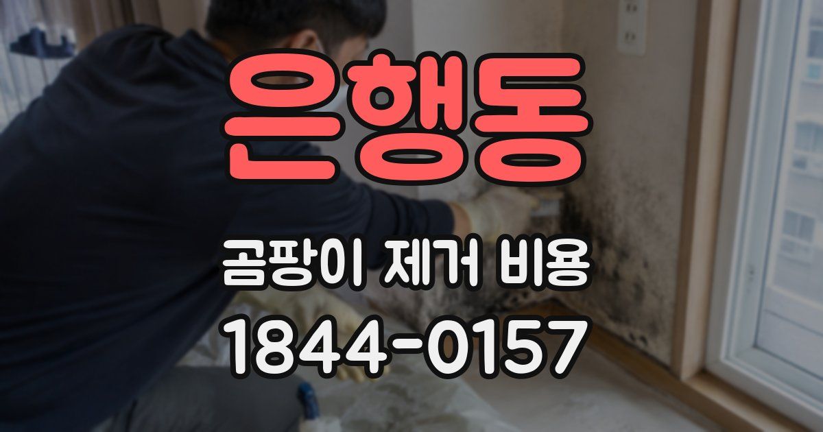 은행동 곰팡이 제거 비용