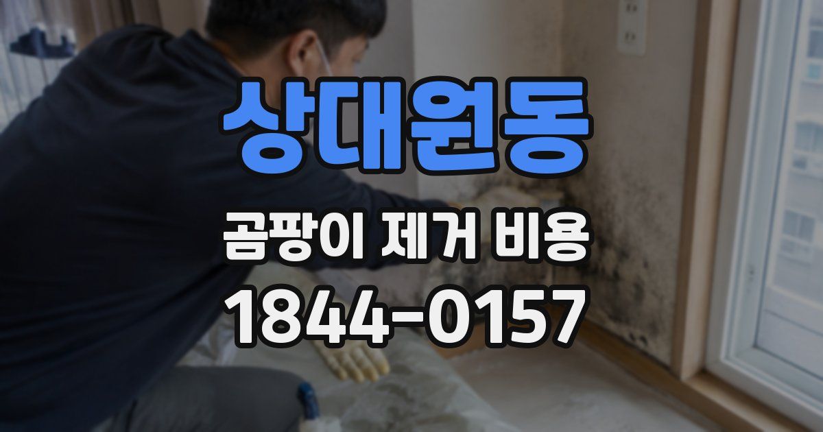 상대원동 곰팡이 제거 비용
