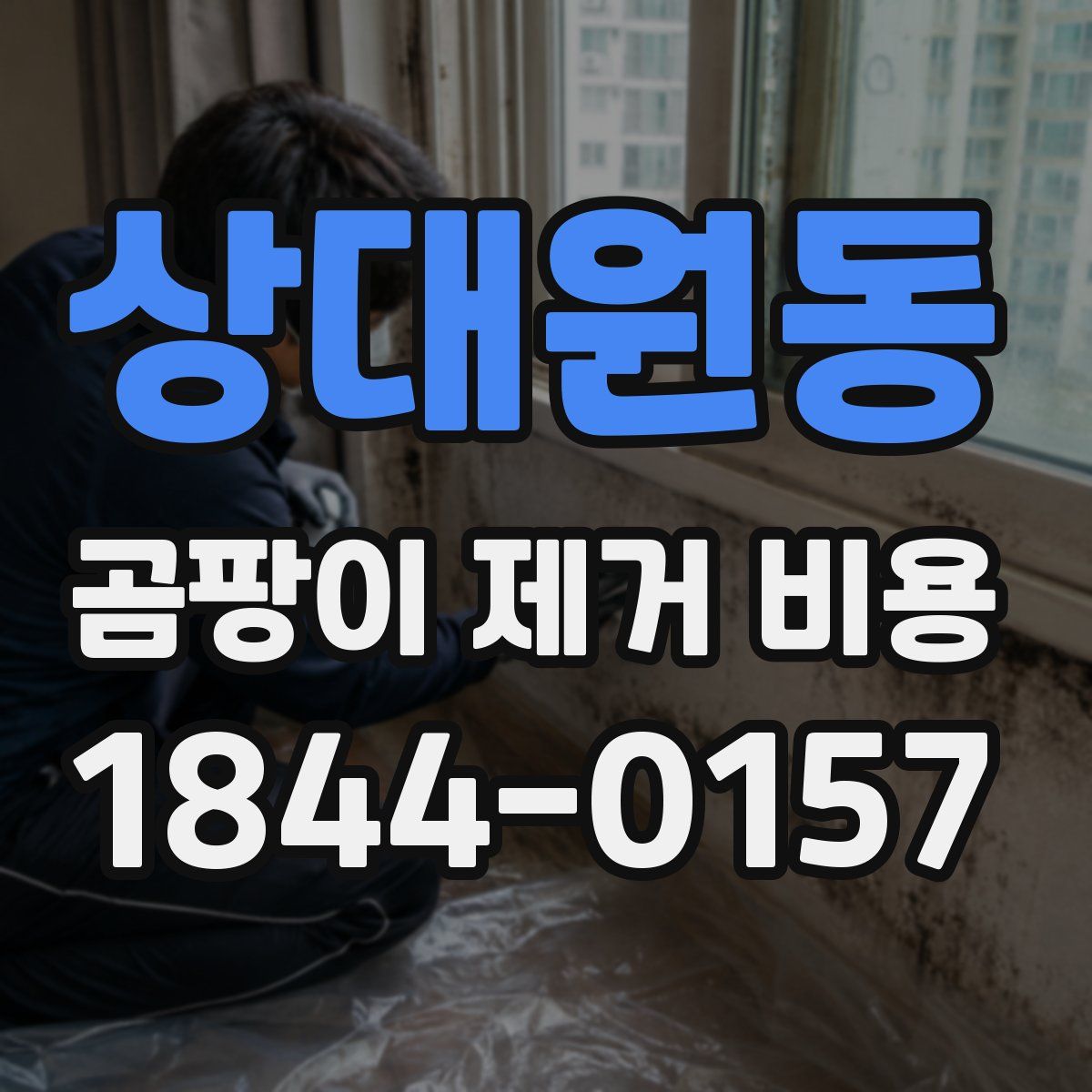 상대원동 곰팡이 제거 비용