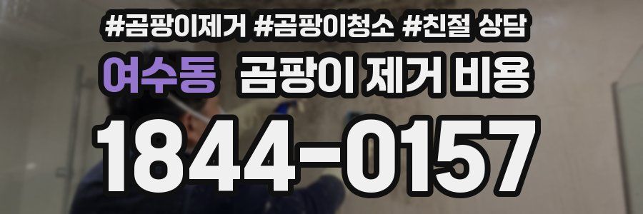 여수동 곰팡이 제거 비용
