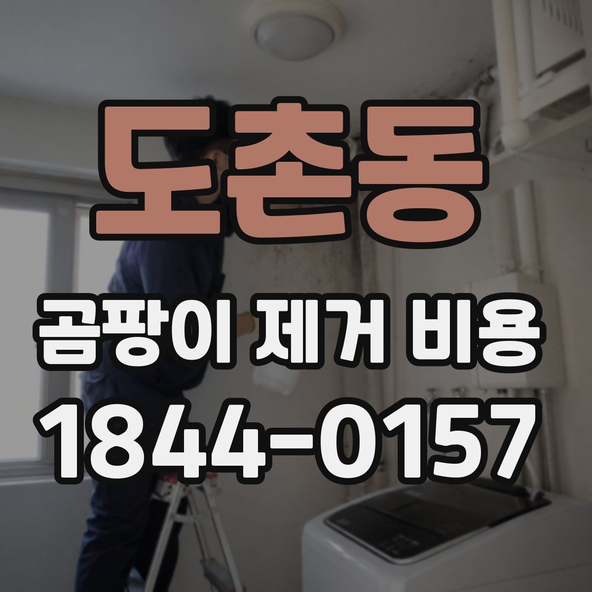 도촌동 곰팡이 제거 비용