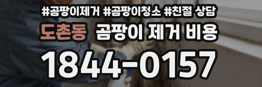도촌동 곰팡이 제거 비용