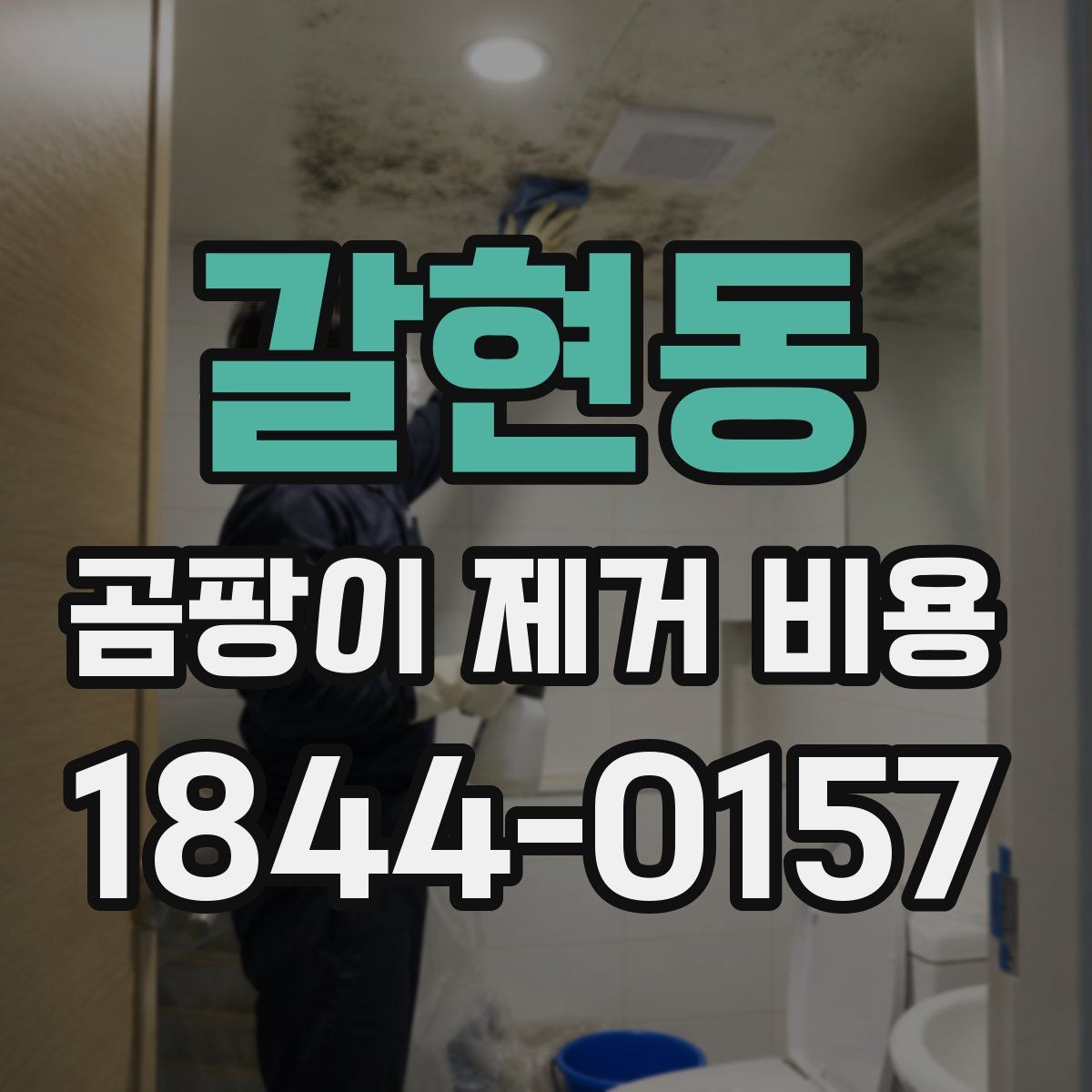 갈현동 곰팡이 제거 비용