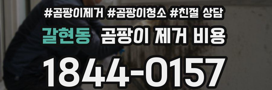 갈현동 곰팡이 제거 비용