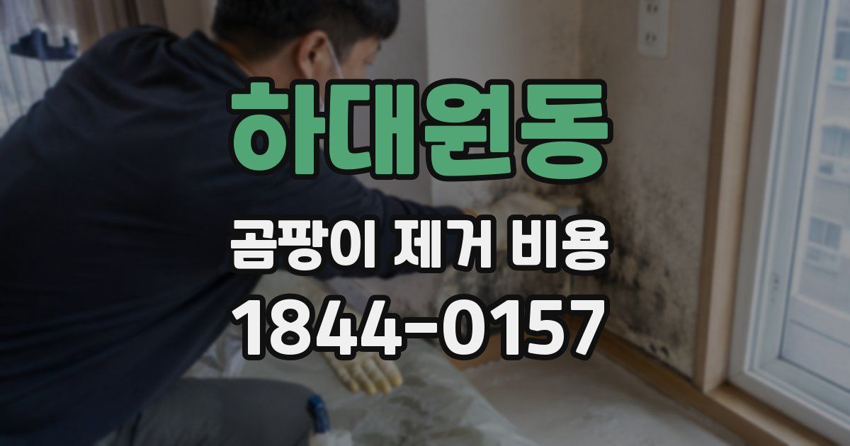하대원동 곰팡이 제거 비용