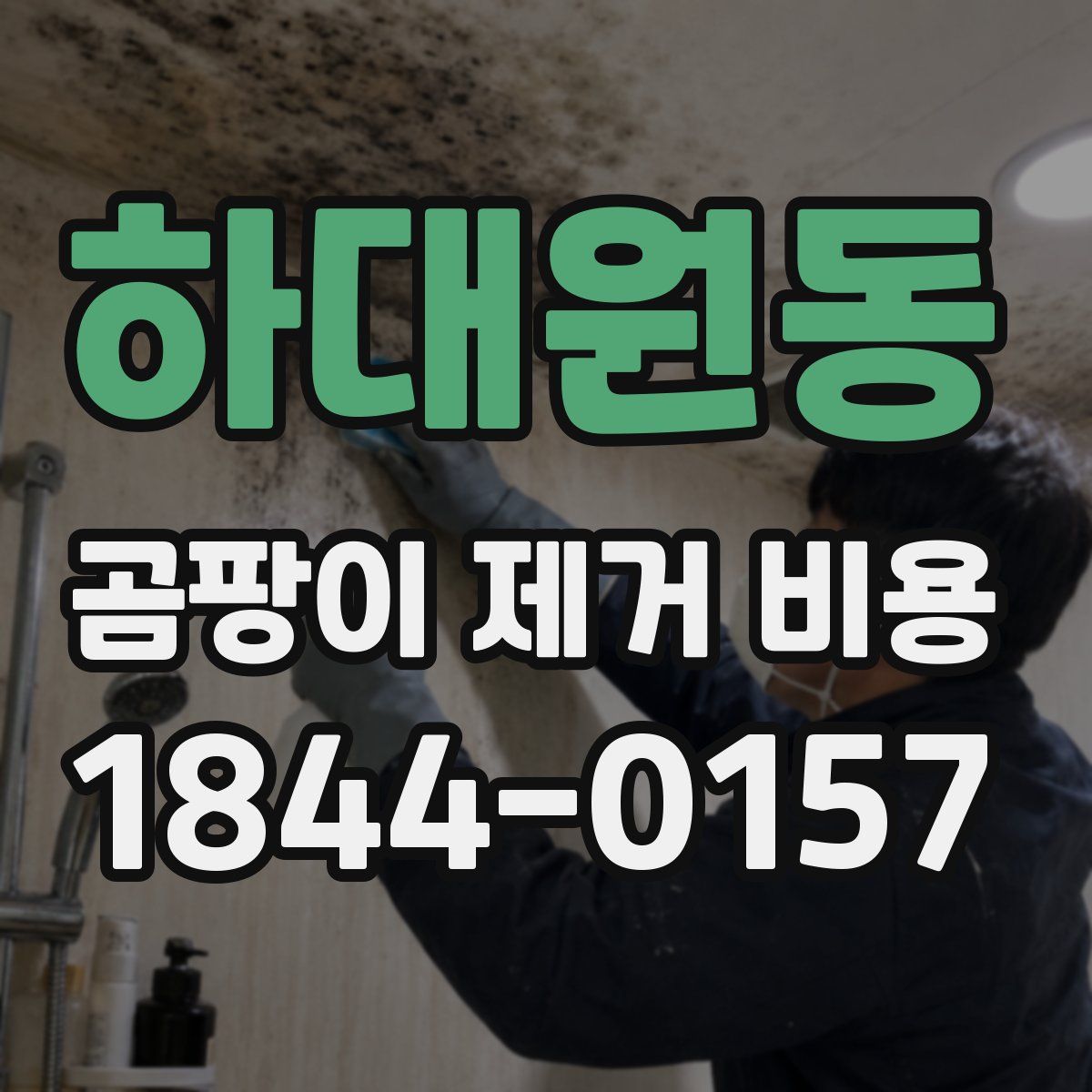 하대원동 곰팡이 제거 비용