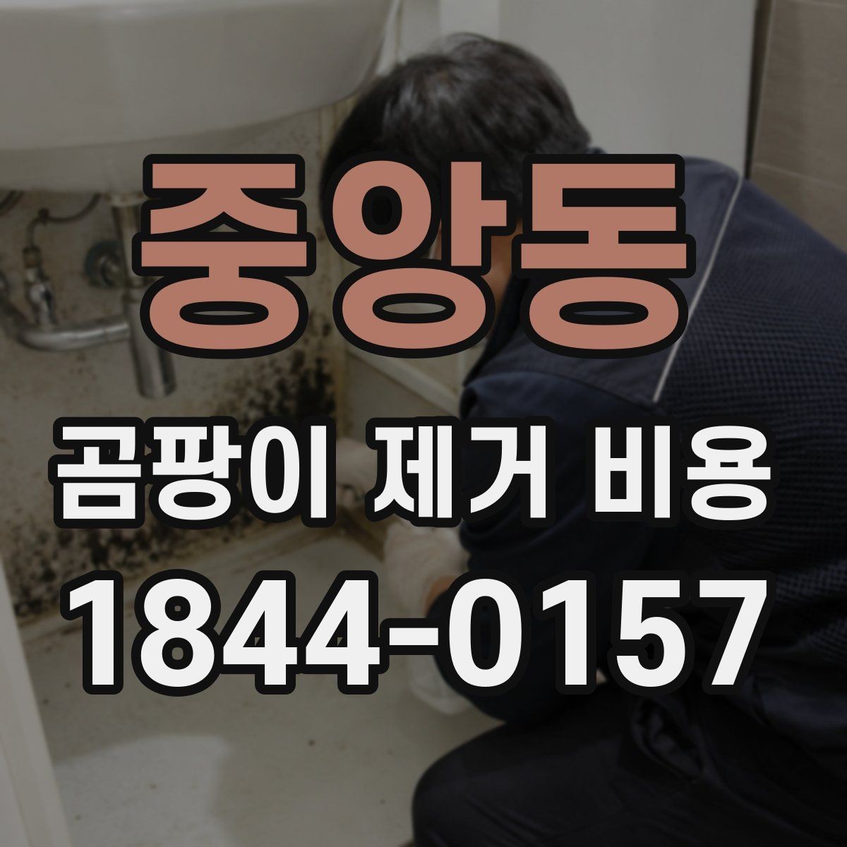 중앙동 곰팡이 제거 비용 업체 선택 전에 알아둘 내용