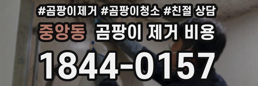 중앙동 곰팡이 제거 비용