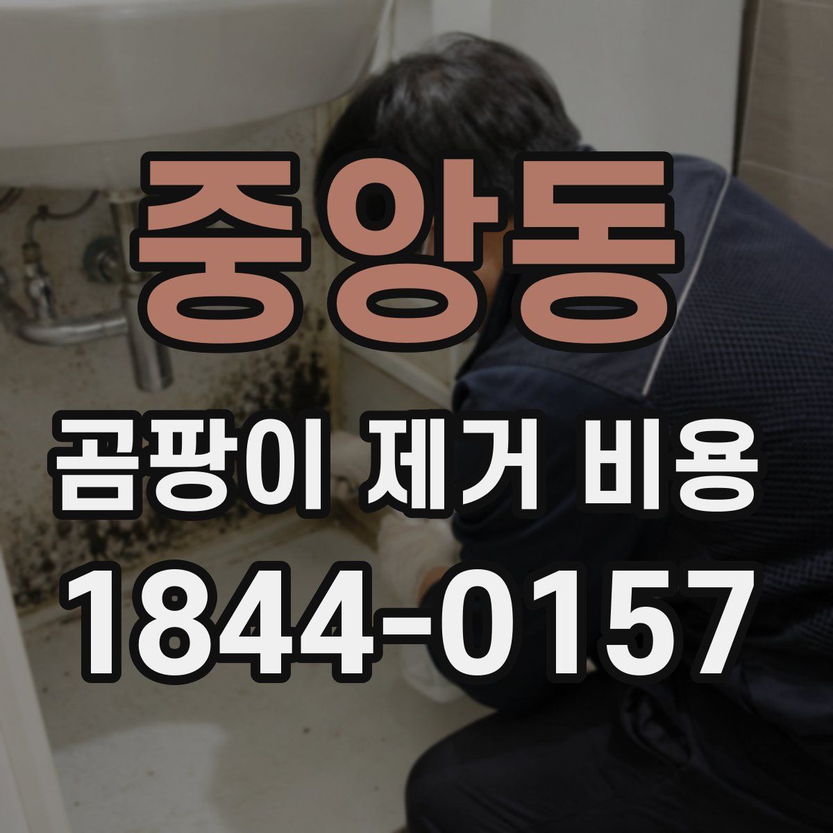 중앙동 곰팡이 제거 비용